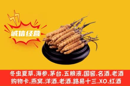 常宁市回收冬虫夏草